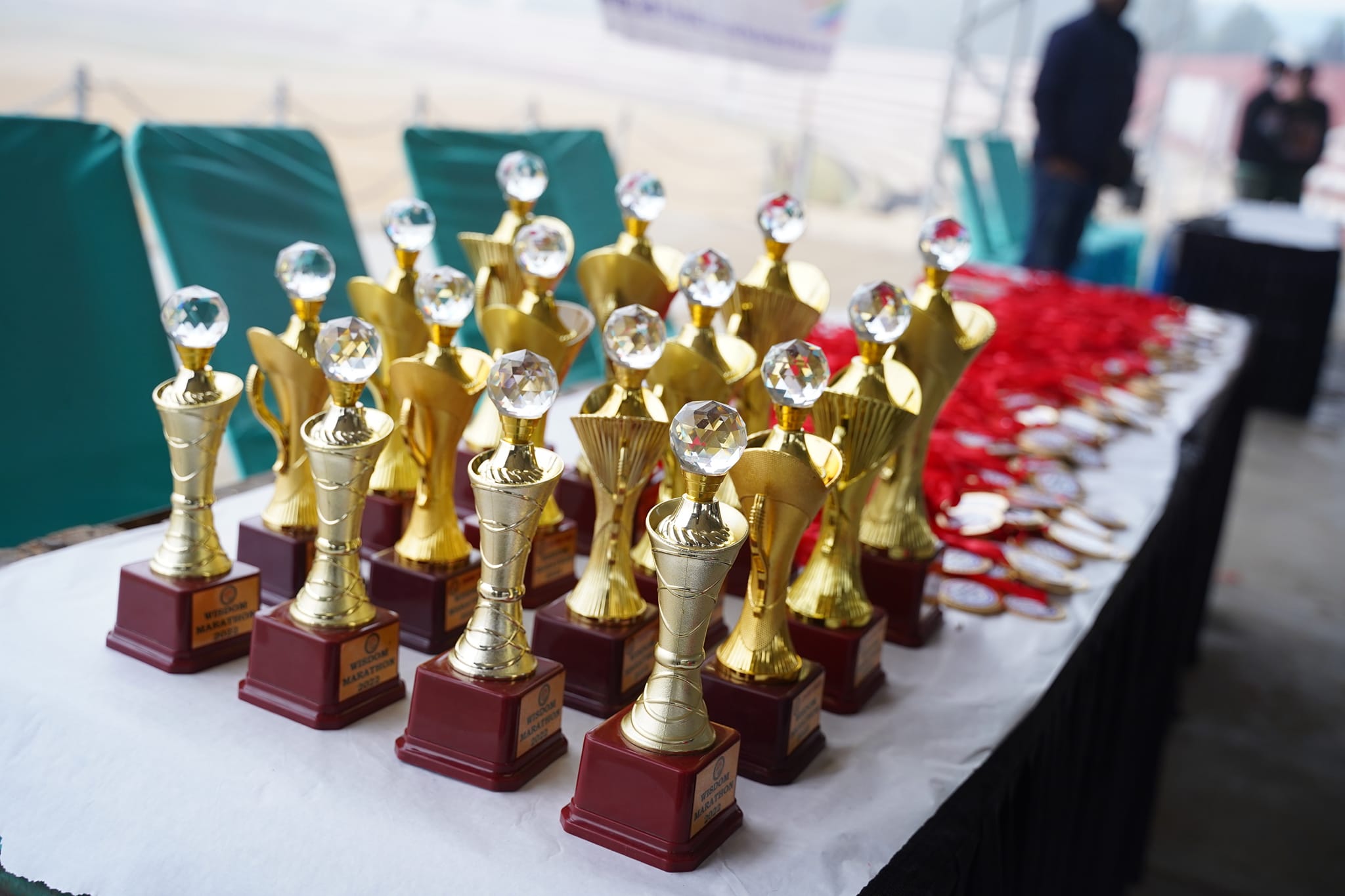 Marathon highlight photo 5 at Wisdom School Hisar